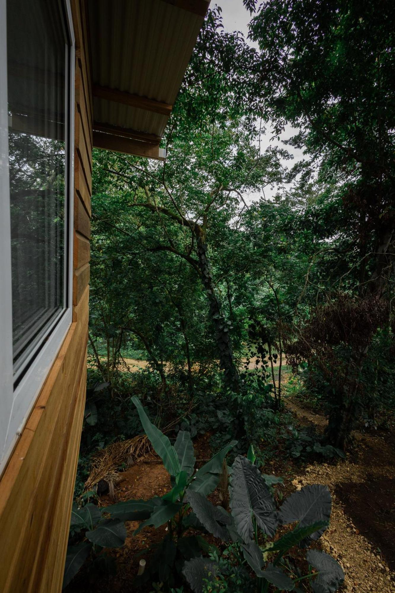 הוילה Big Bight Monkey Tiny House - Private Swimming Pool מראה חיצוני תמונה